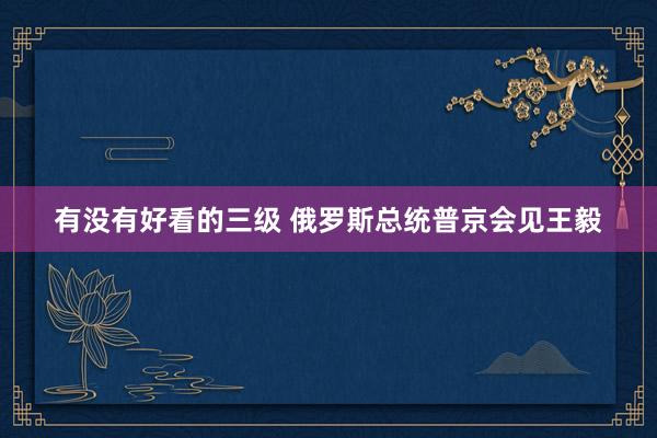 有没有好看的三级 俄罗斯总统普京会见王毅