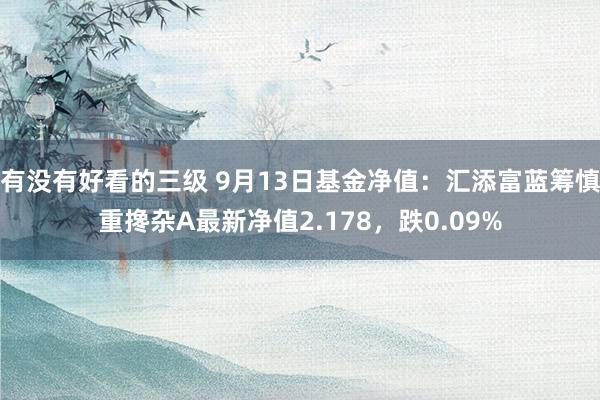 有没有好看的三级 9月13日基金净值：汇添富蓝筹慎重搀杂A最新净值2.178，跌0.09%