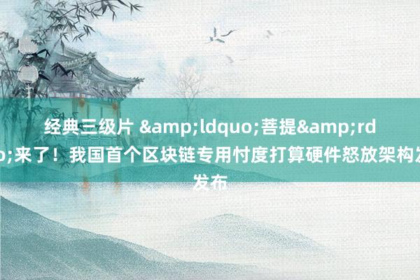经典三级片 &ldquo;菩提&rdquo;来了！我国首个区块链专用忖度打算硬件怒放架构发布