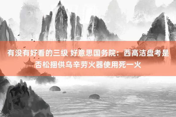 有没有好看的三级 好意思国务院：西高洁盘考是否松捆供乌辛劳火器使用死一火