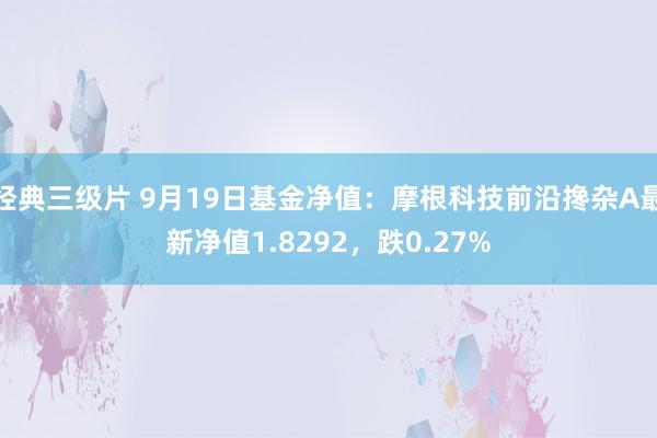 经典三级片 9月19日基金净值：摩根科技前沿搀杂A最新净值1.8292，跌0.27%