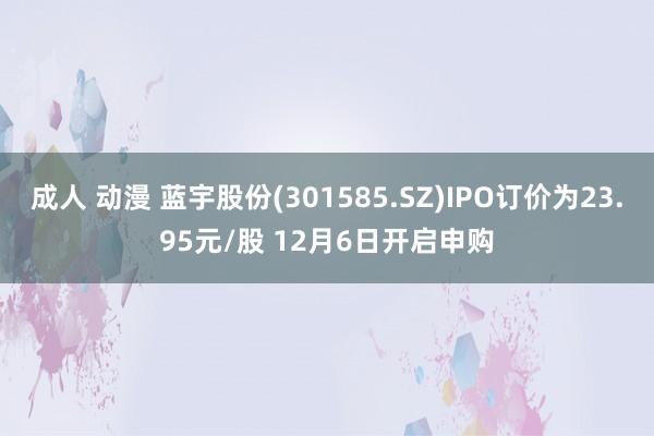 成人 动漫 蓝宇股份(301585.SZ)IPO订价为23.95元/股 12月6日开启申购