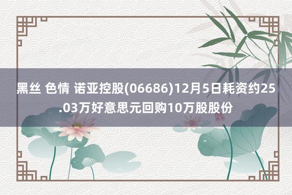 黑丝 色情 诺亚控股(06686)12月5日耗资约25.03万好意思元回购10万股股份